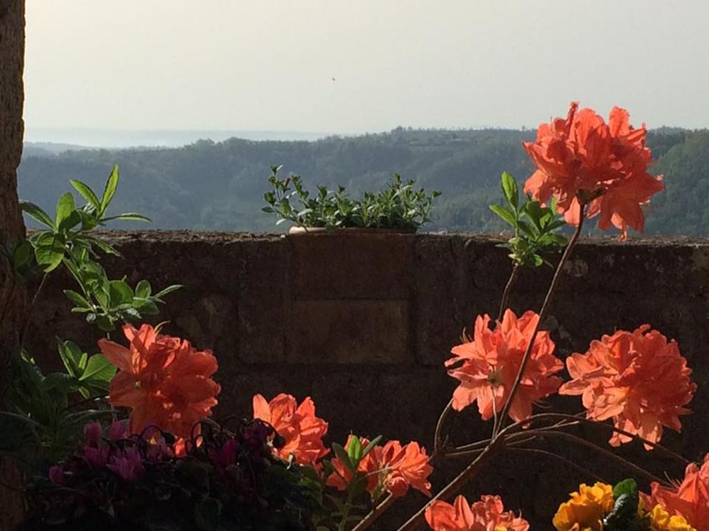 L'Incanto Di Civita Bagnoregio Extérieur photo